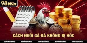 Cách Nuôi Gà Đá Không Bị Hóc Hiệu Quả Nhất Hiện Nay - 98win